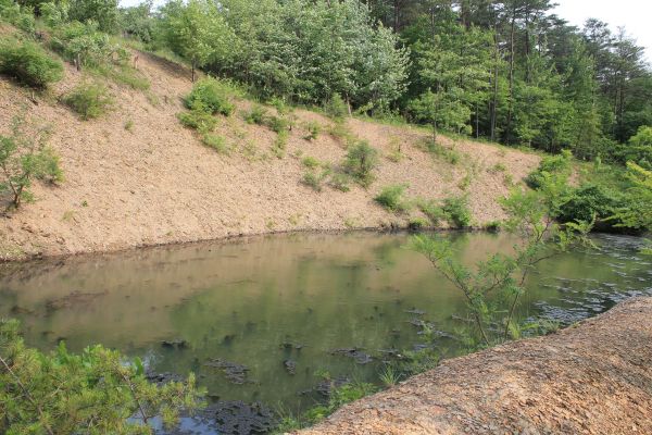 Pond Erosion Repair in Chagrin Falls