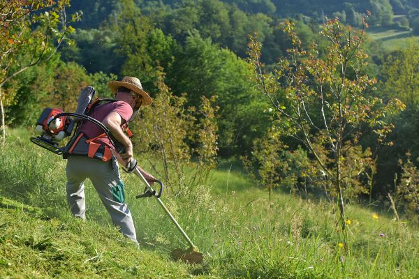 Cost of Slope Trimming in Chagrin Falls